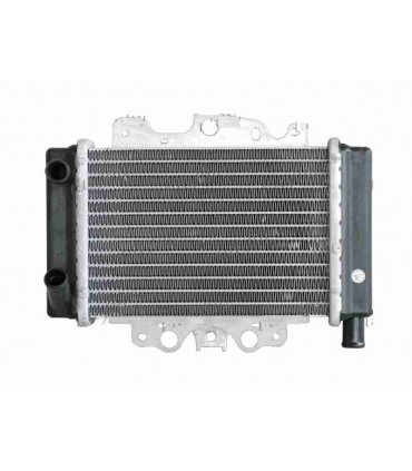  RADIATORE MOTO ACQUA MALAGUTI Centro CK16