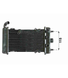  Radiateur EAU MOTO MALAGUTI Password	250