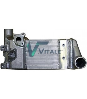 ÖLKÜHLER FÜR RENAULT TRUCKS MAN 0501212640 0501214020 5001857529 501208868 81325606082
