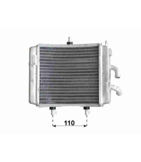 RADIATEUR EAU APRILIA SCARABEO 125