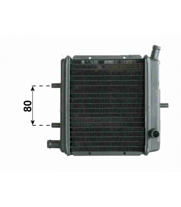 Radiatore acqua per moto Aprilia RS 50