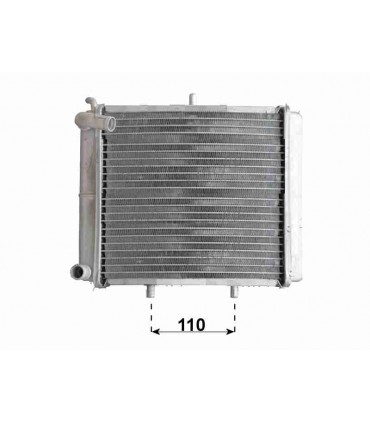 Radiatore acqua per moto Aprilia Scarabeo 500
