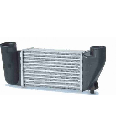 Radiateur moteur pour PEUGEOT 204 / 304