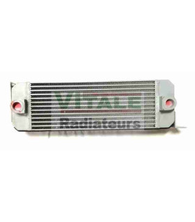 RADIATORE A OLIO DIECI